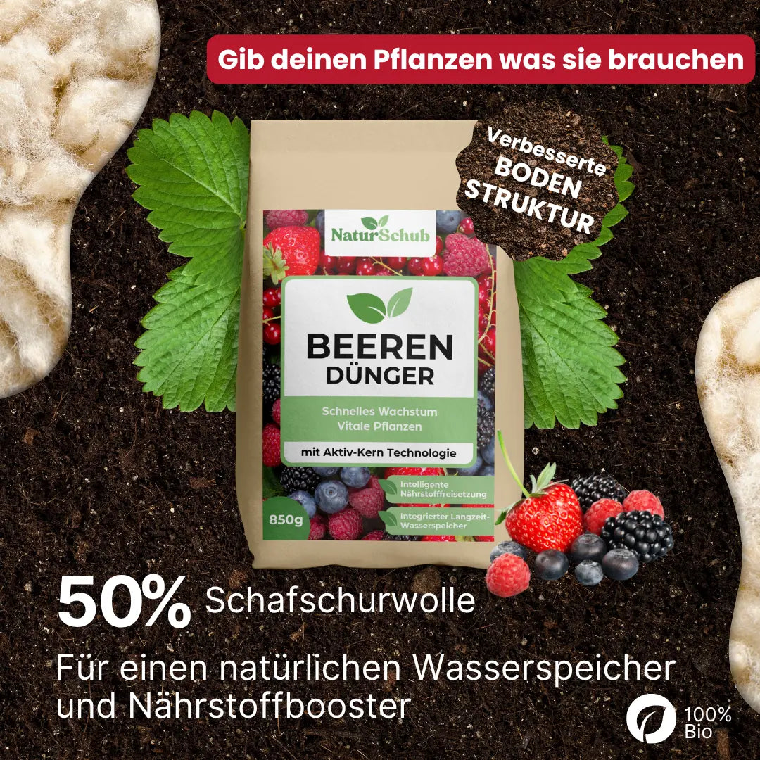 Bio-Beeren-Dünger 850 g