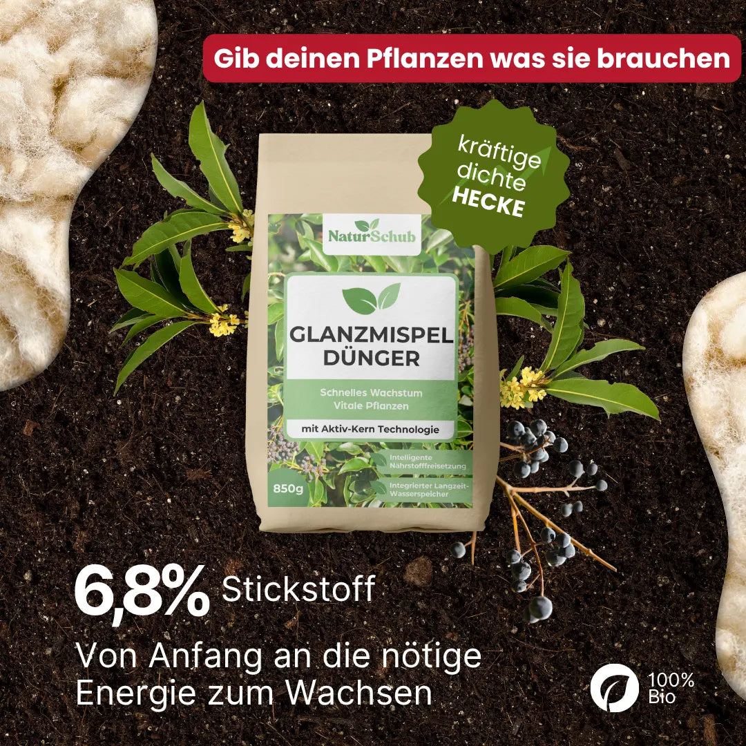 Bio-Thuja-Dünger 850 g