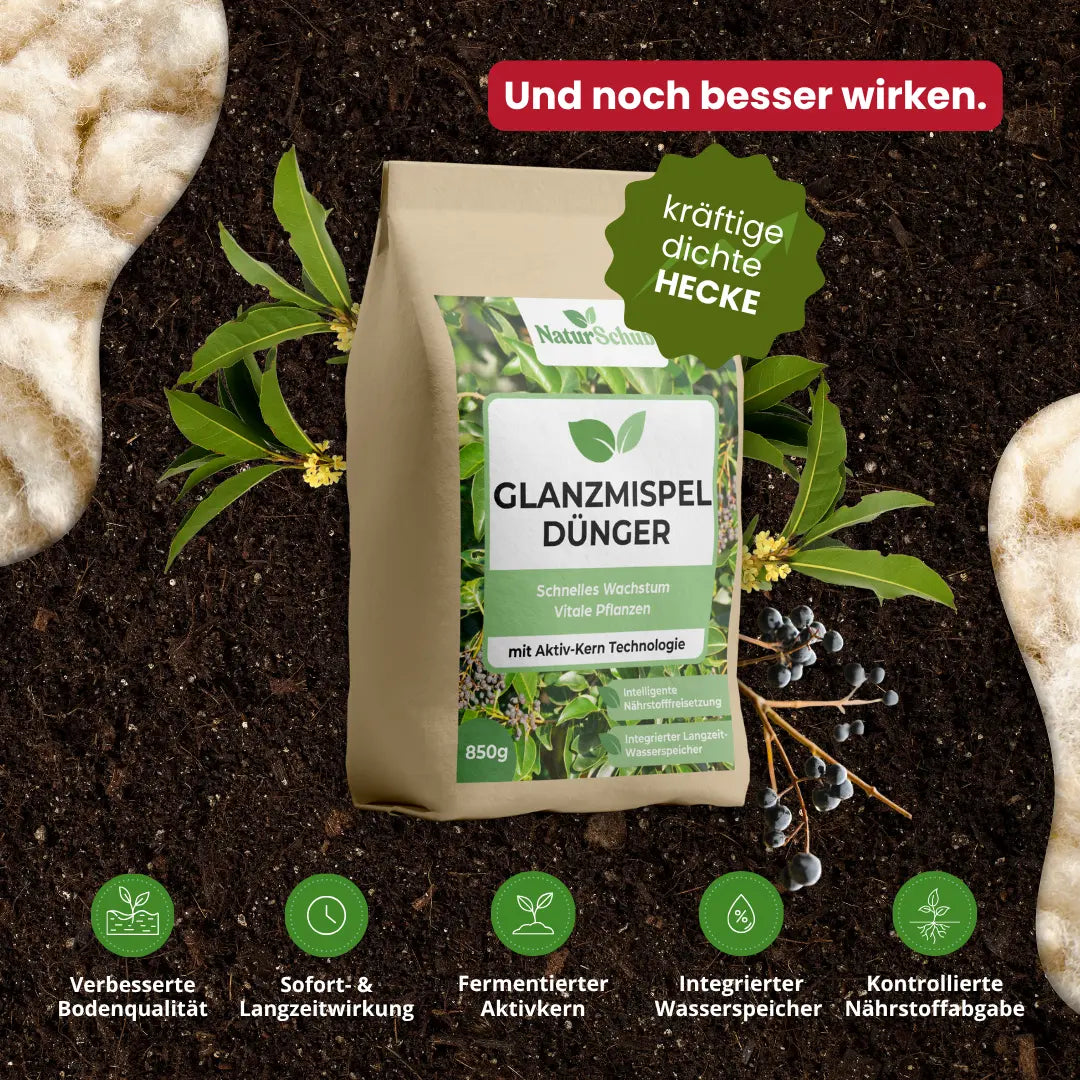 Bio-Thuja-Dünger 850 g