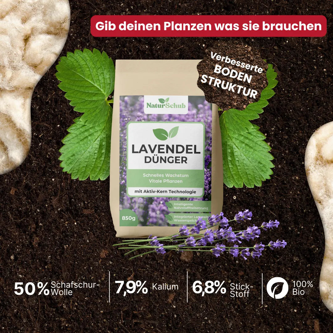 Bio-Lavendel-Dünger
