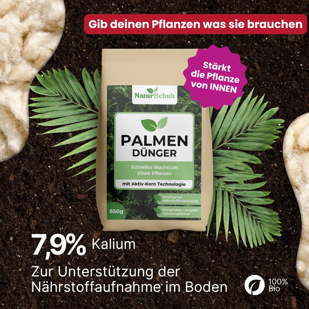 Bio-Palmen-Dünger 850 g