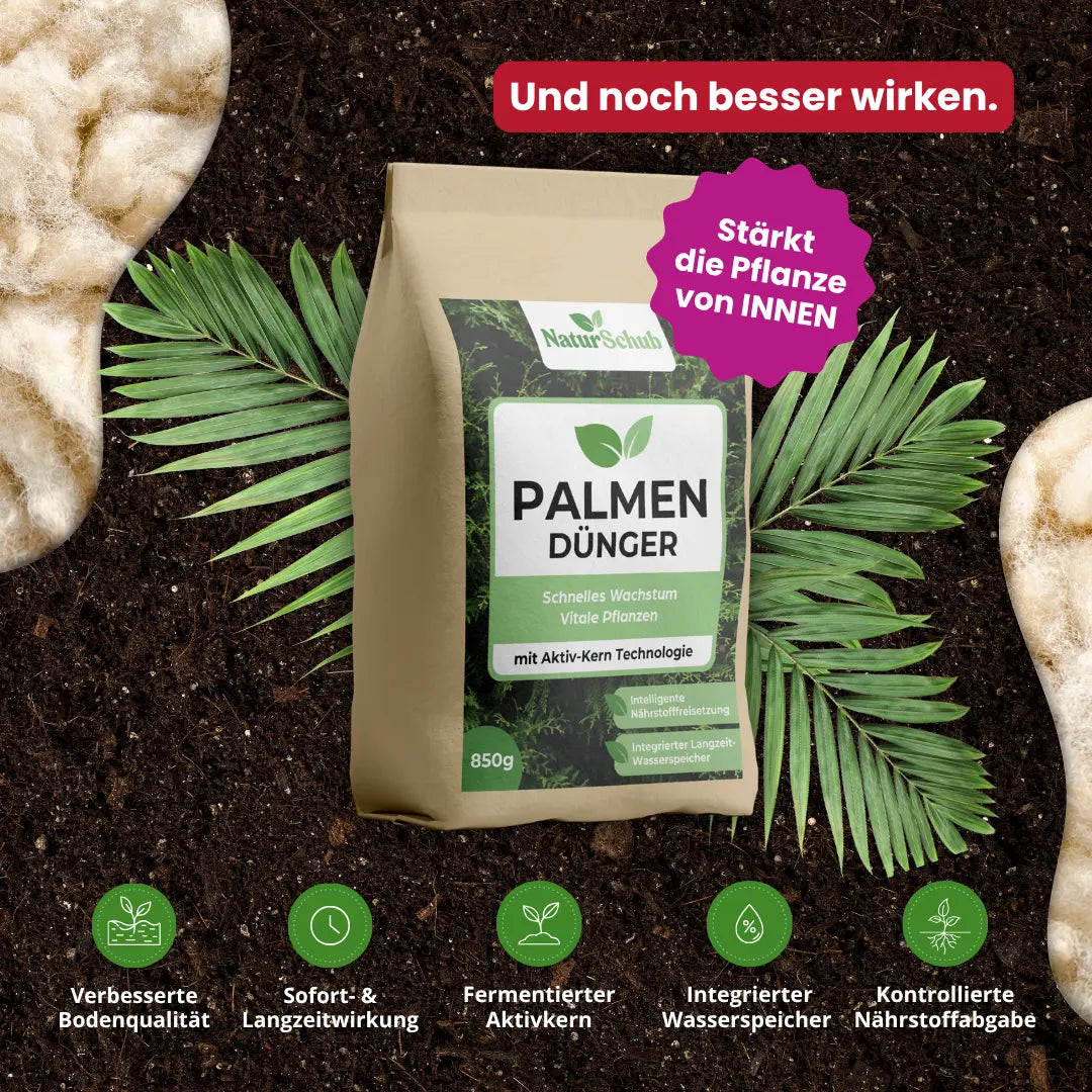 Bio-Palmen-Dünger 850 g
