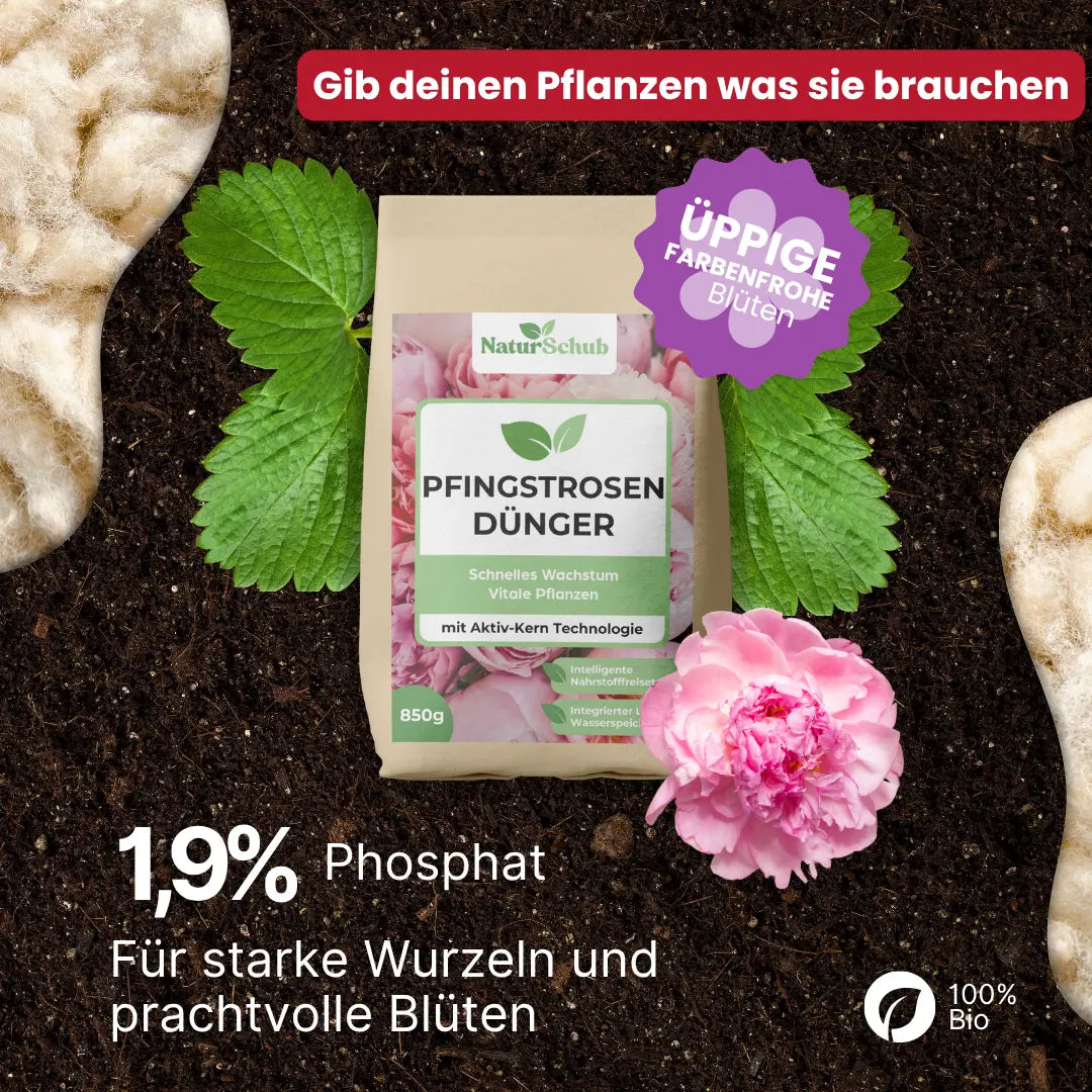 Bio-Pfingstrosen-Dünger
