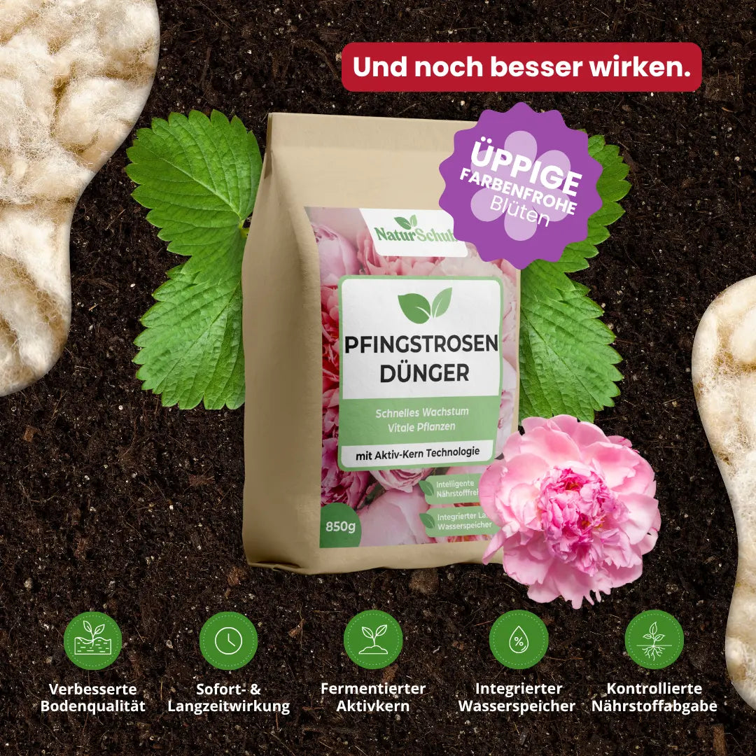 Bio-Pfingstrosen-Dünger