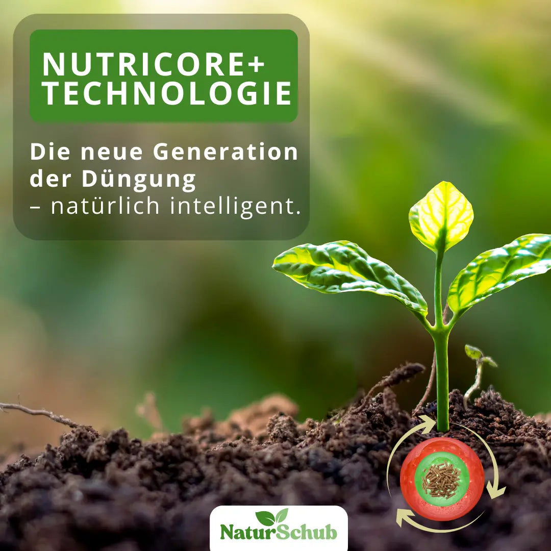 Bio-Palmen-Dünger 850 g