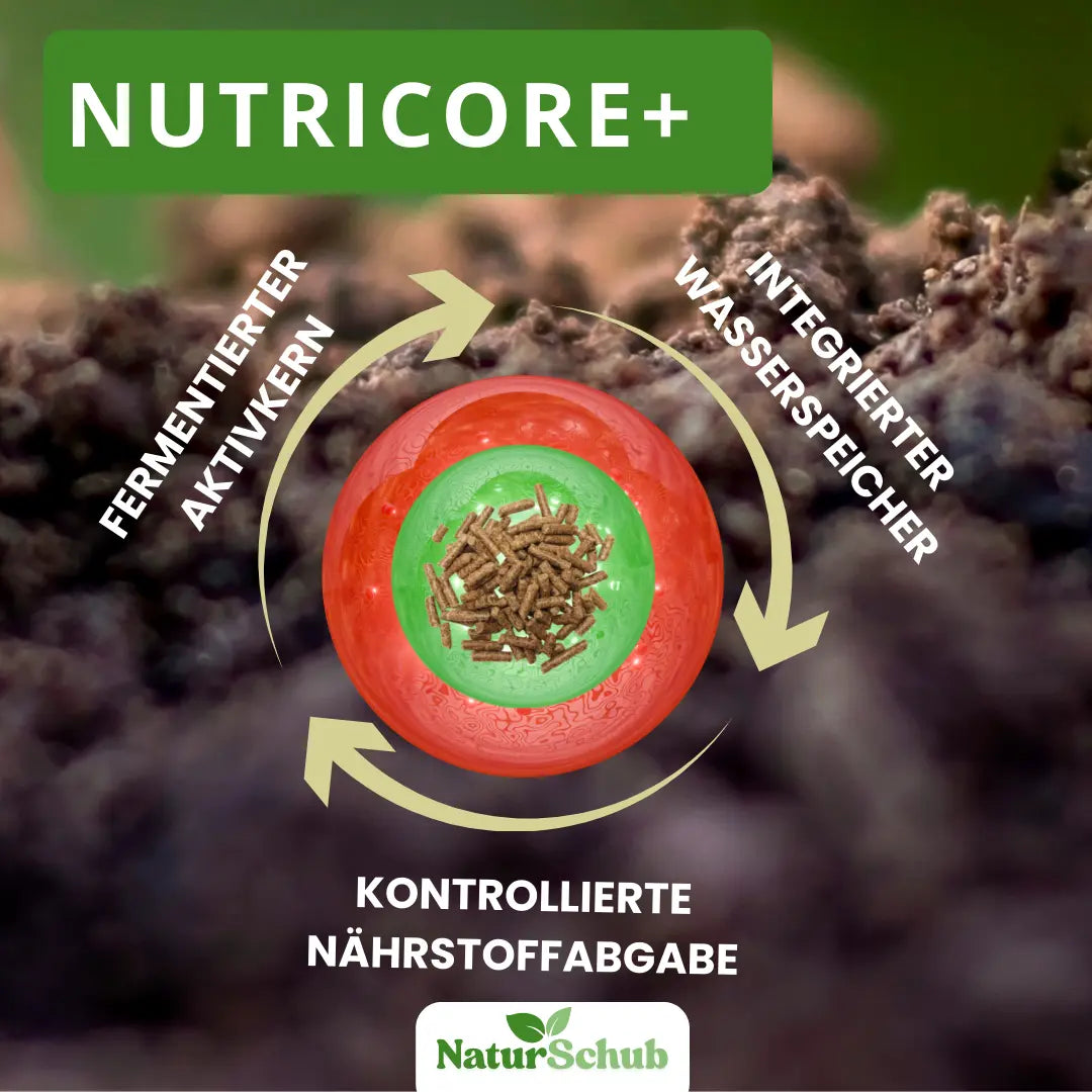 Bio-Palmen-Dünger 850 g