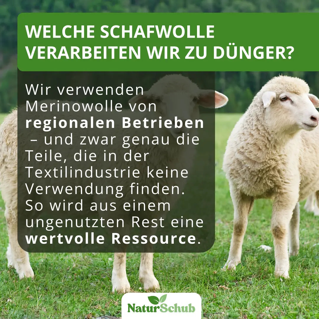 Bio-Palmen-Dünger 850 g