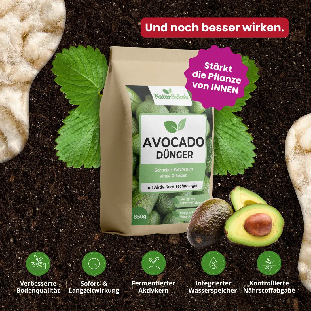Bio-Avocado-Dünger 850 g