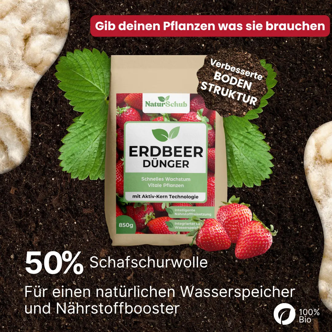 Bio-Erdbeer-Dünger 850 g