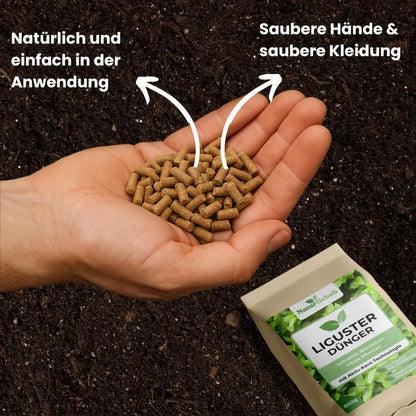 Bio-Liguster-Dünger 850g