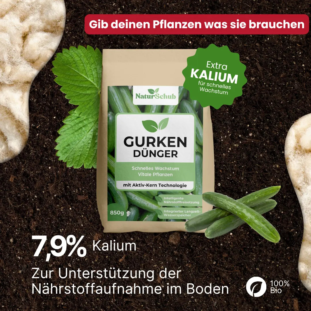 Bio-Gurken-Dünger 850 g