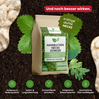 Bio-Hainbuchenhecke-Dünger 850 g