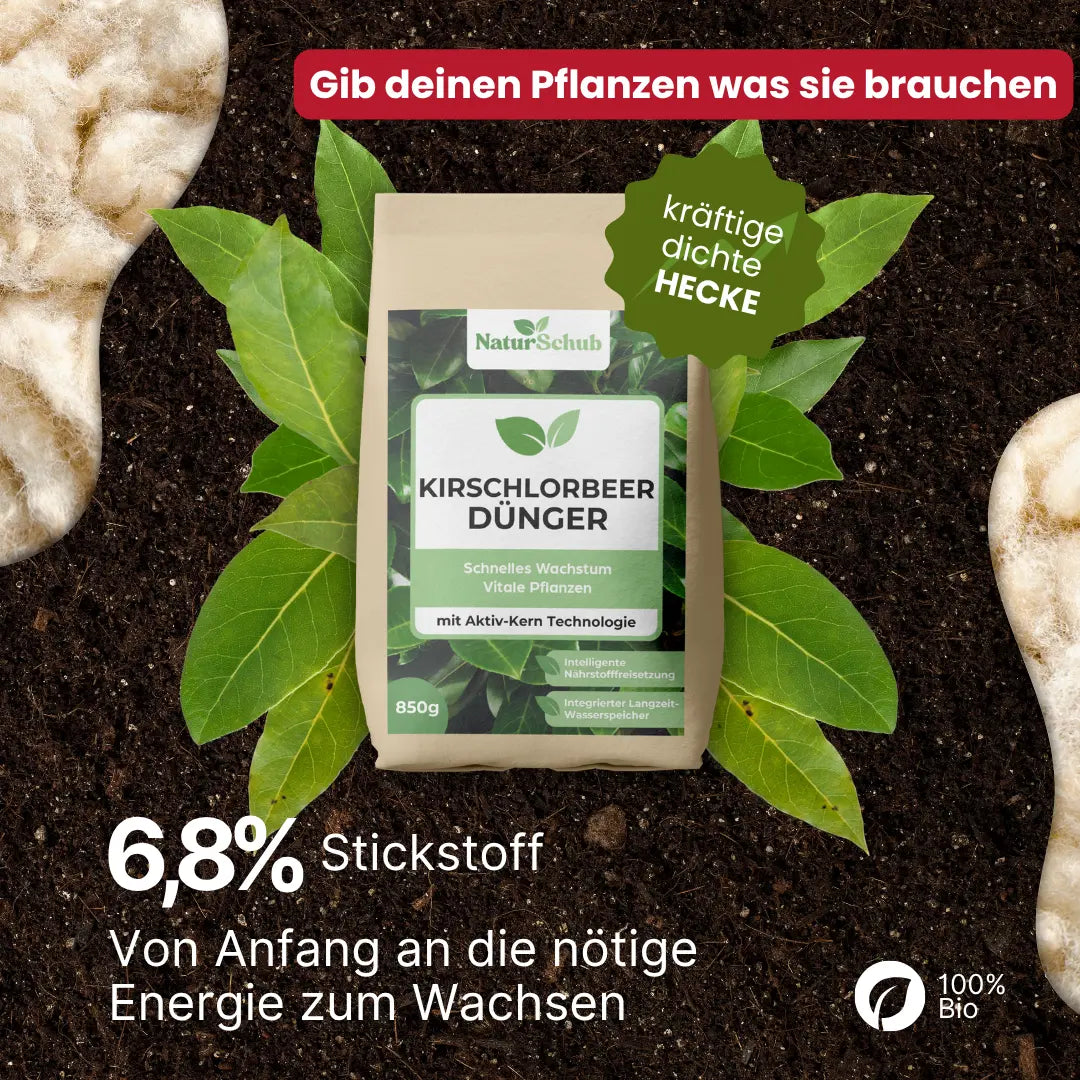 Bio-Kirschlorbeer-Dünger