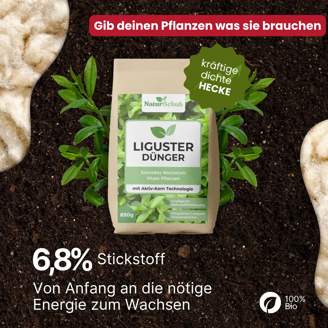 Bio-Liguster-Dünger 850g