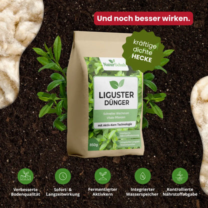 Bio-Liguster-Dünger 850g