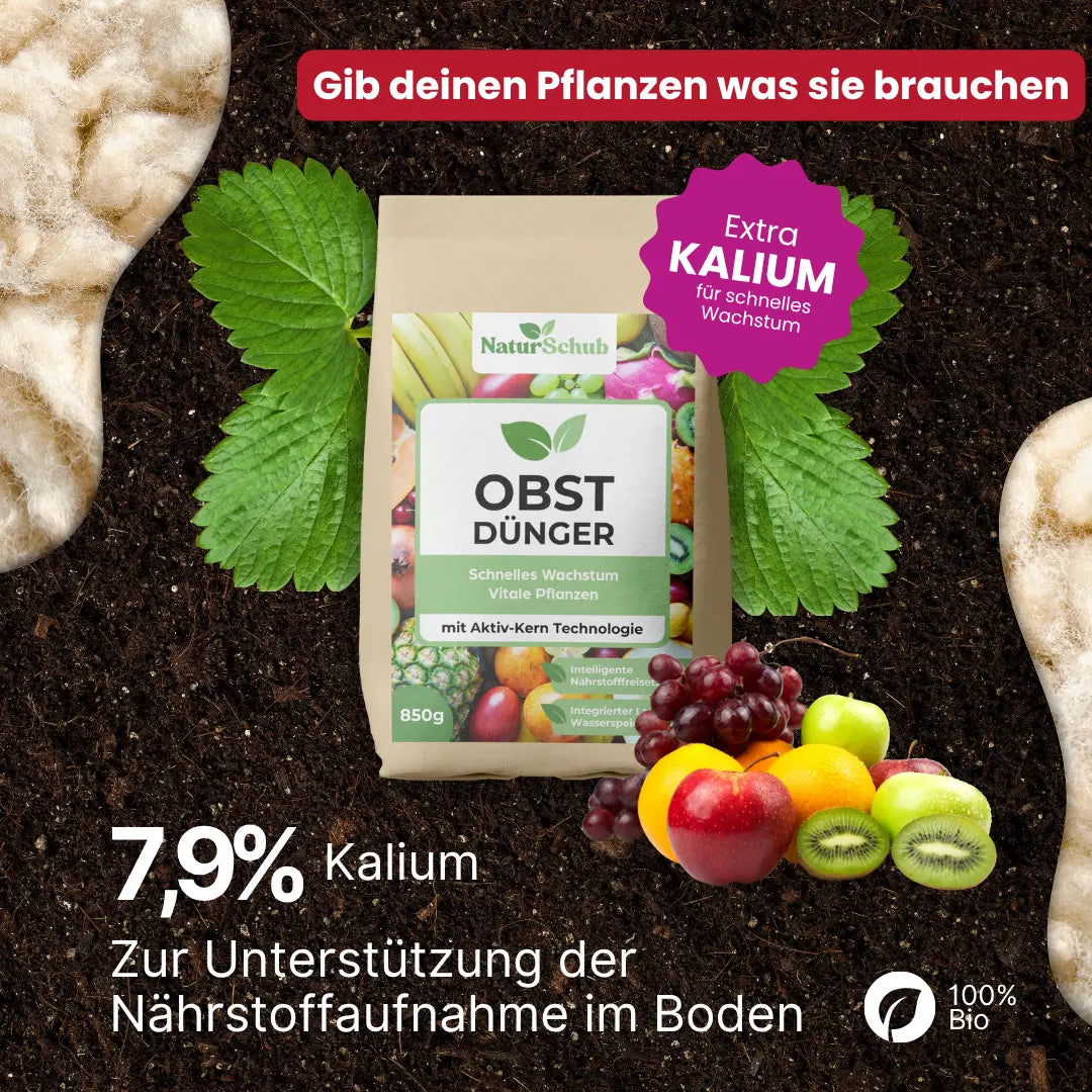 Bio-Obst-Dünger 850 g