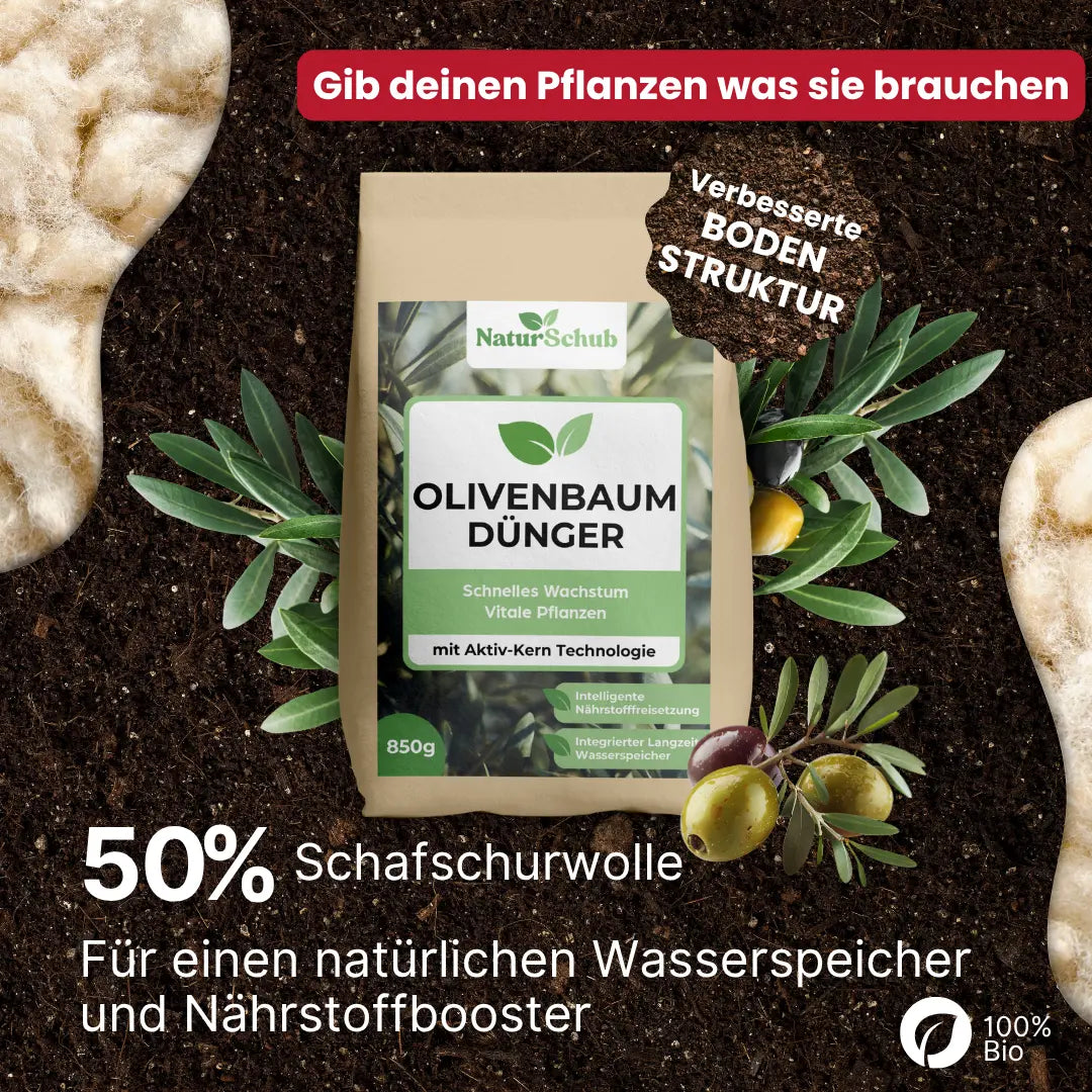 Bio-Olivenbaum-Dünger 850 g