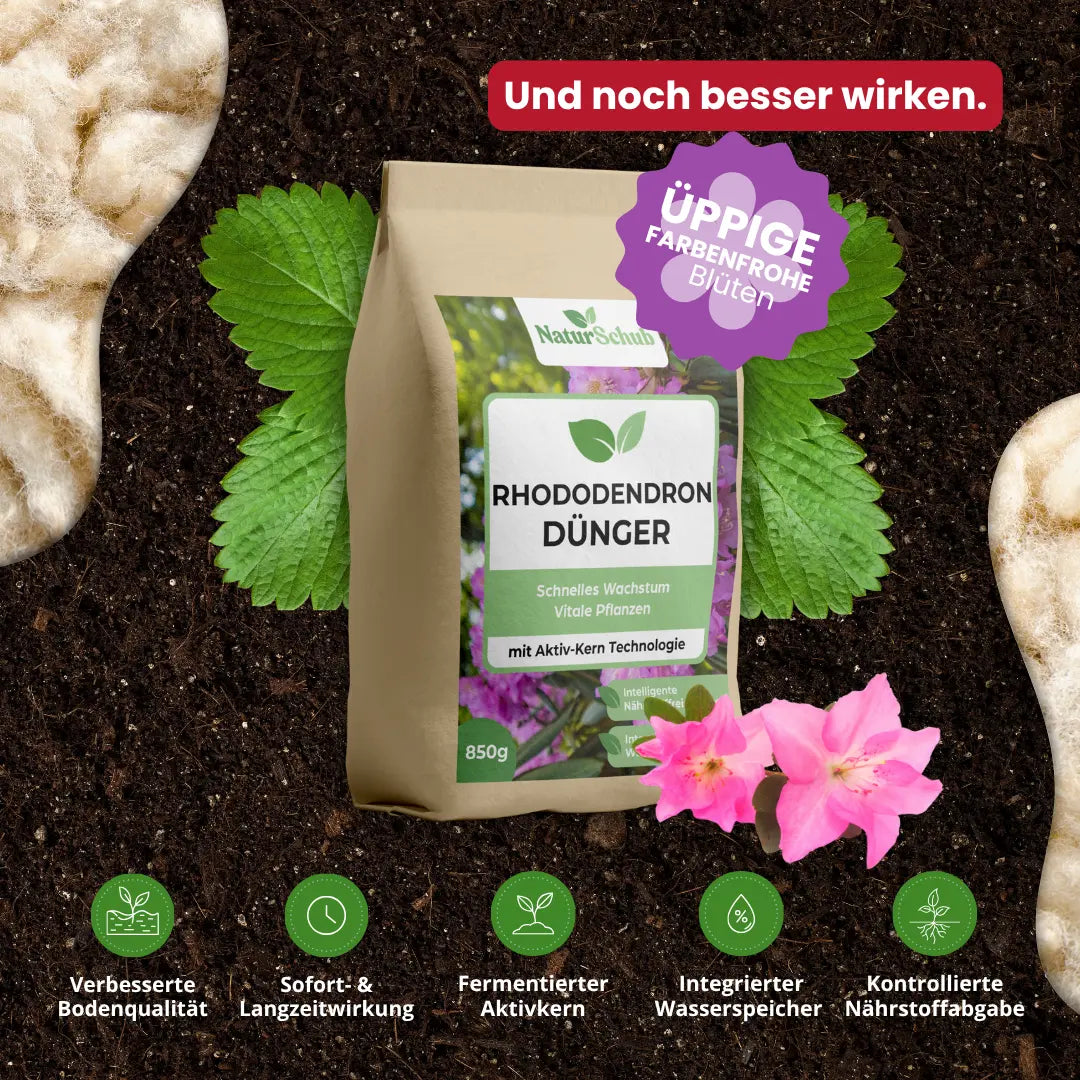 Bio-Rhododendron-Dünger 850 g