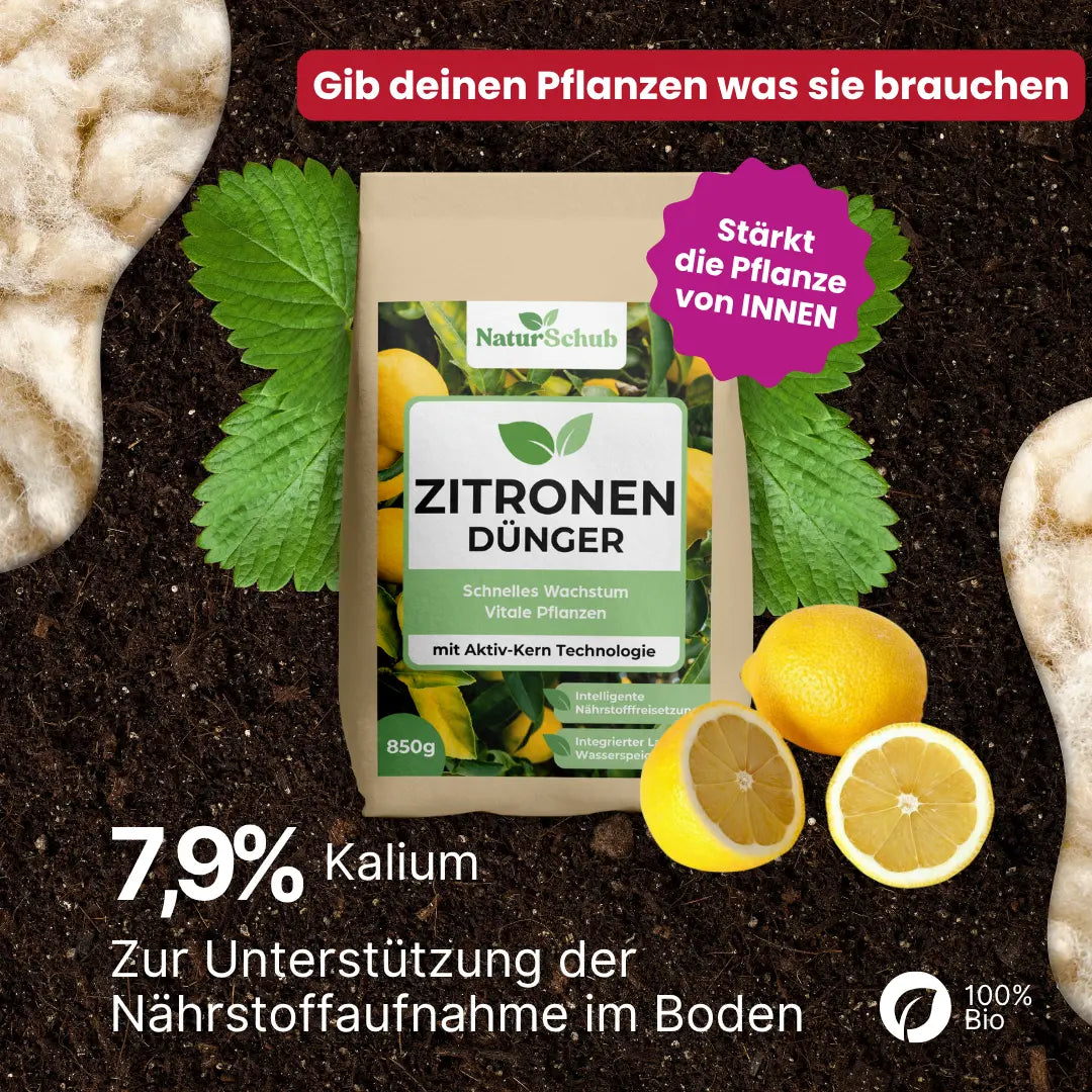 Bio-Zitronenbaum-Dünger 850 g