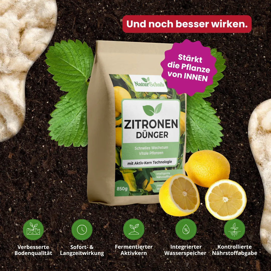 Bio-Zitronenbaum-Dünger 850 g